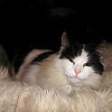 02 Bedewell March 2004